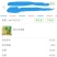 木瓜苗红心木瓜苗黄金木瓜苗