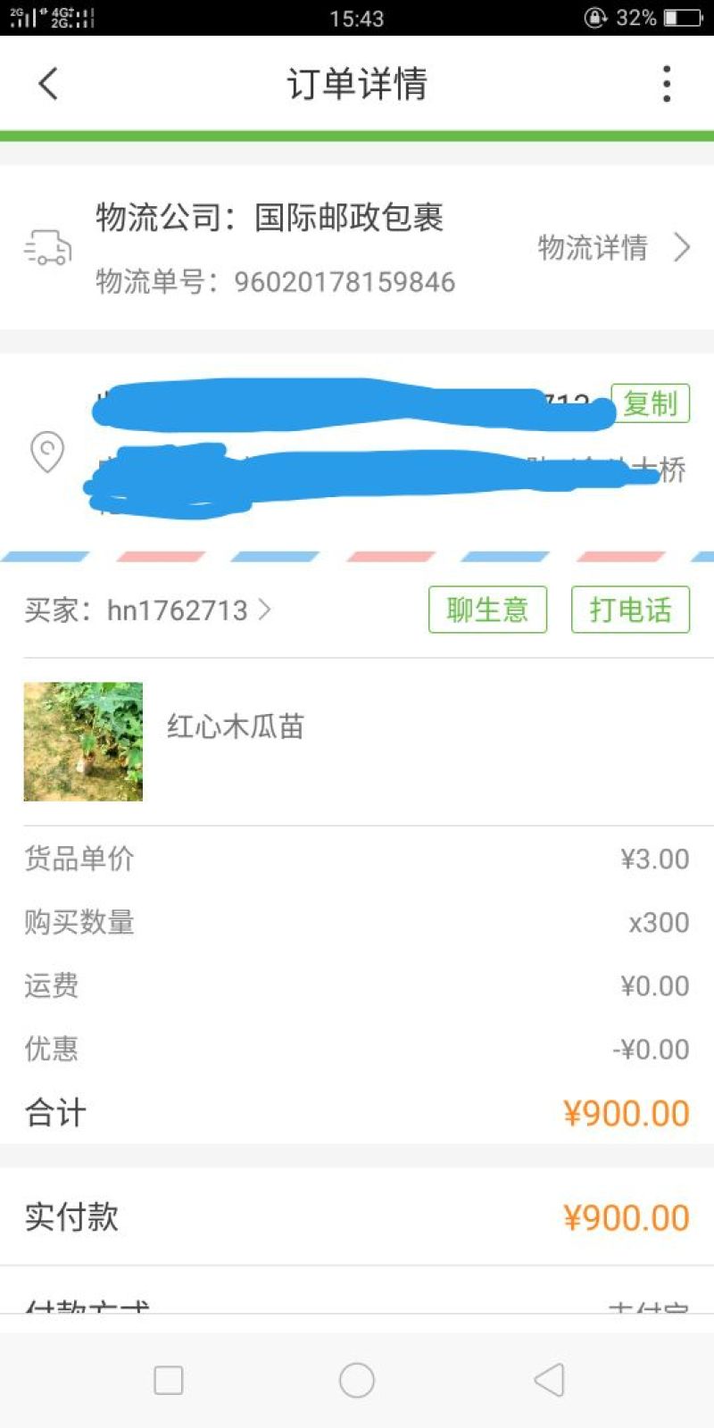 木瓜苗红心木瓜苗黄金木瓜苗