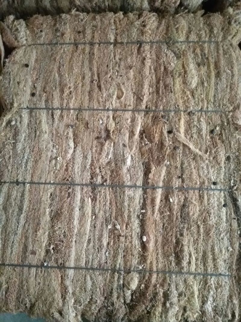 丝瓜络