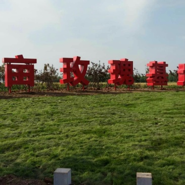 山东万亩玫瑰基地花农基地直发一手货源。