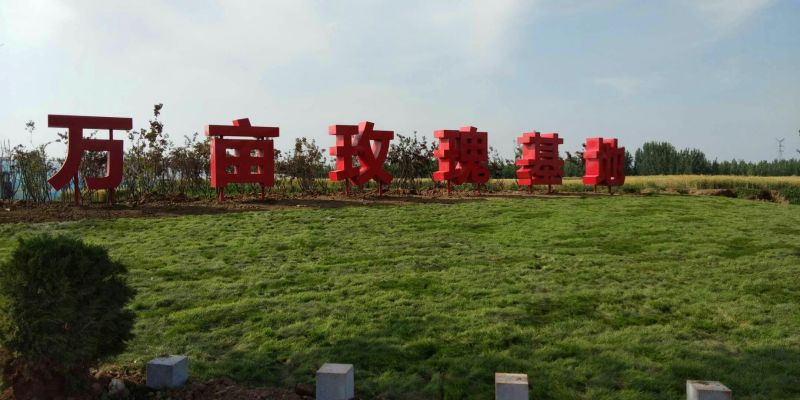 山东万亩玫瑰基地花农基地直发一手货源。