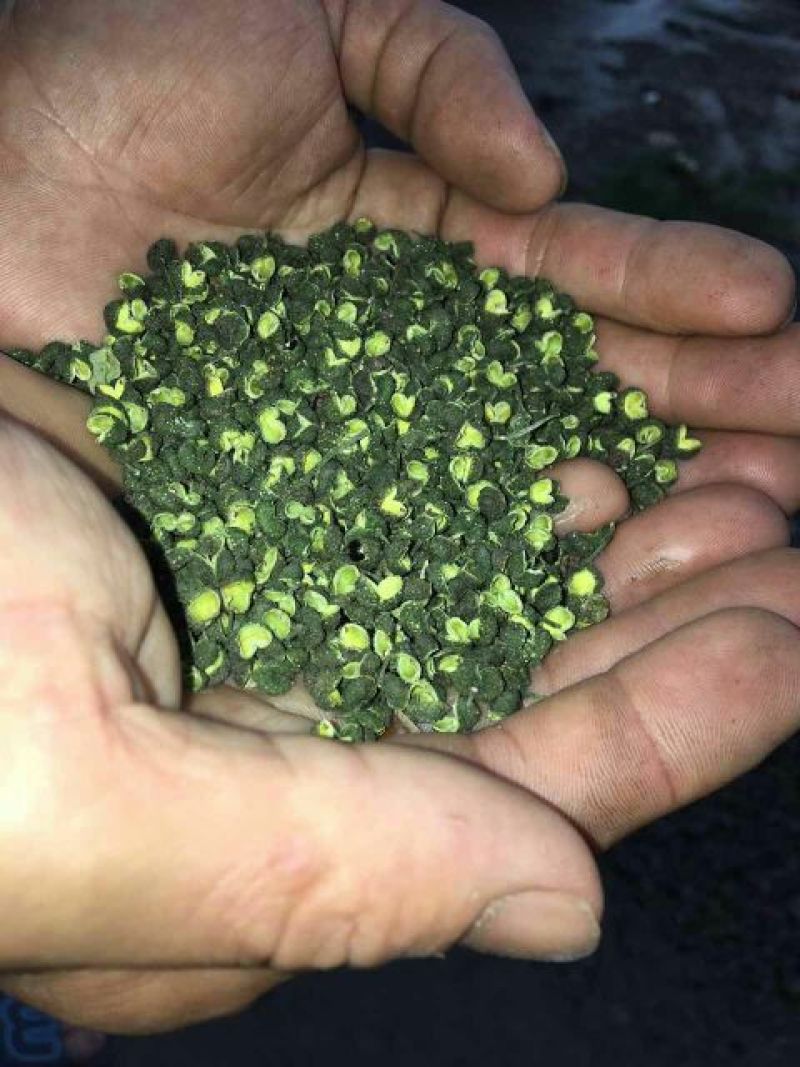 青花椒，香麻一级鲜，特级干都有，质优价低，自产自销，