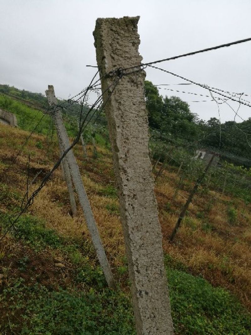 水泥立柱