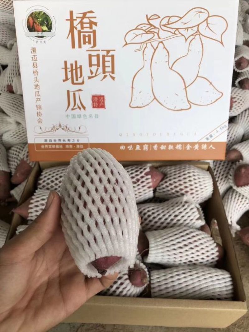海南澄迈桥头地瓜