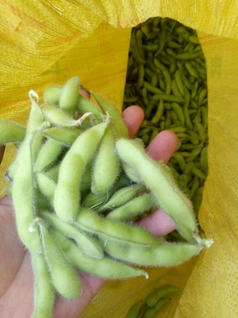 绿宝石
