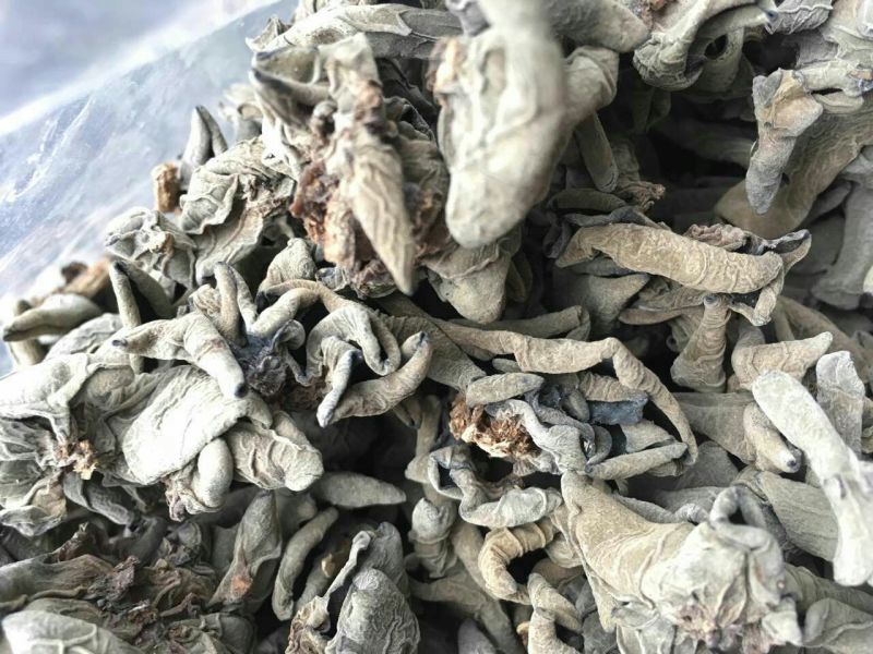 纯天然野生木耳干货小碗耳