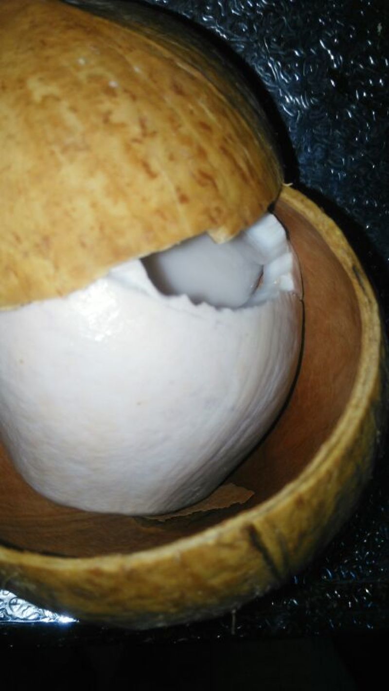 烧烤奶椰皇
