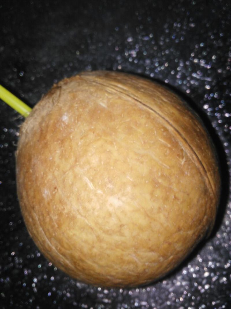 烧烤奶椰皇