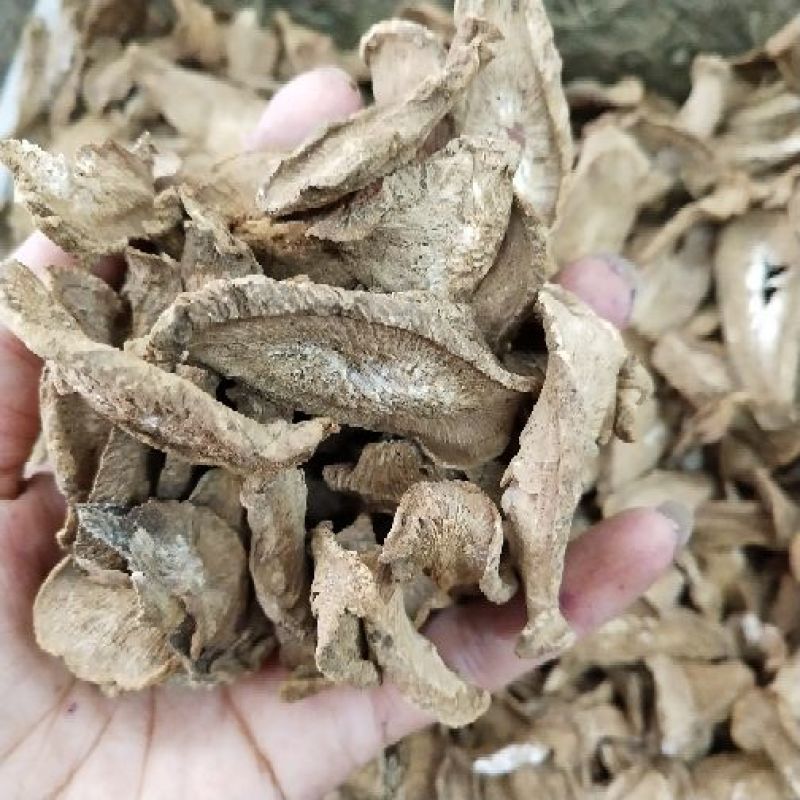 牛蒡统片