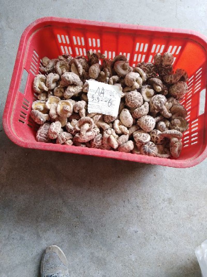 5至5.5的花菇干度好，肉质厚，欢迎大家采购。