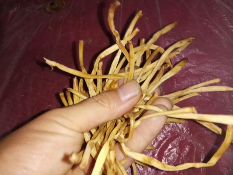 庆阳黄花菜农家自产自销无添加纯手工自然晾晒500g