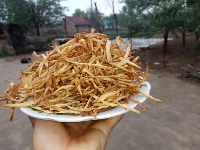 庆阳黄花菜农家自产自销无添加纯手工自然晾晒500g