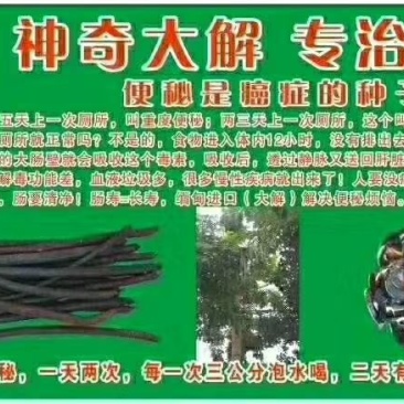便秘果