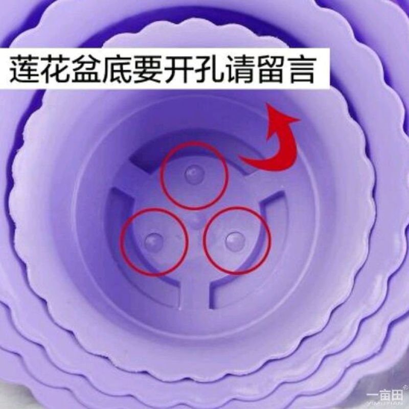 花边花盆花盆塑料特大号加厚树脂圆形仿陶瓷室客厅果树，包邮