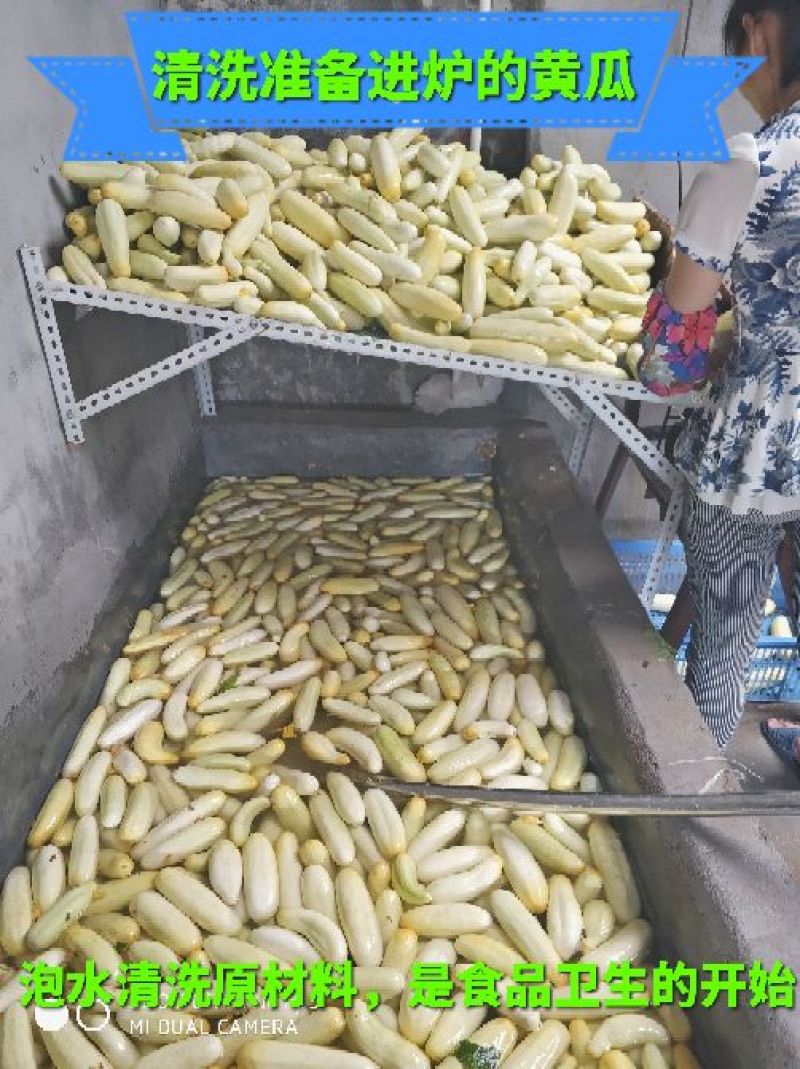 黄瓜皮2020年新鲜脆瓜皮下饭配粥咸菜