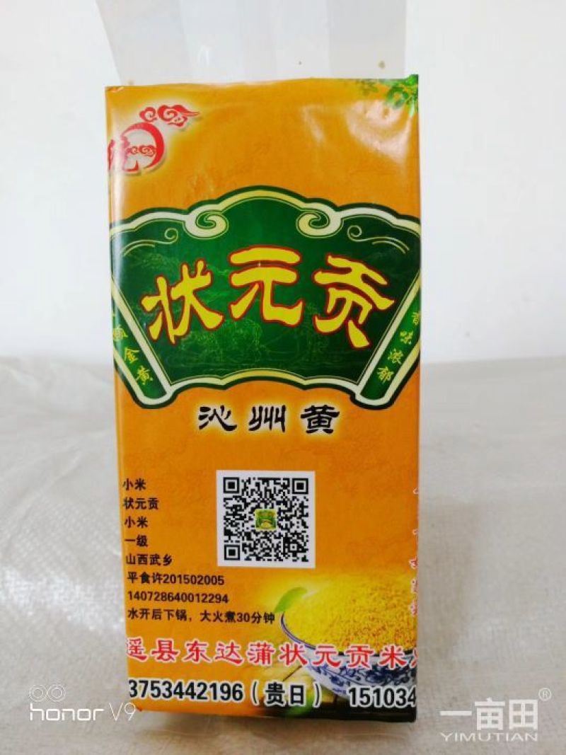 状元贡小米