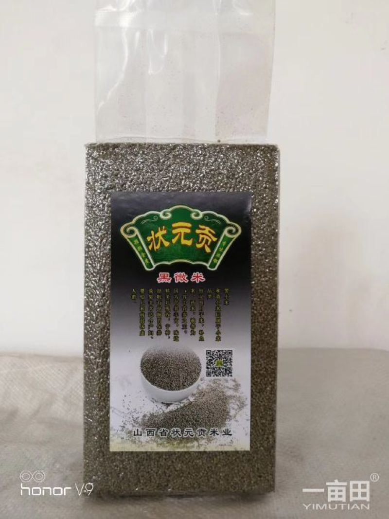 状元贡小米