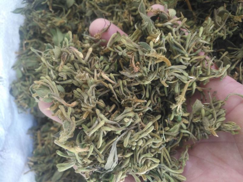 金银花统花