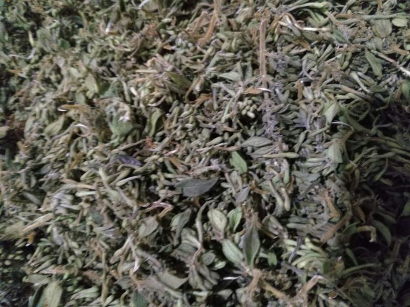 金银花统花