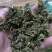 金银花统花