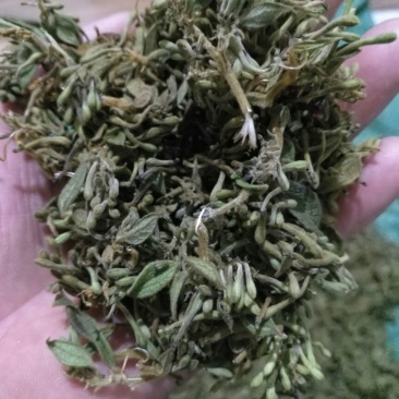 金银花统花