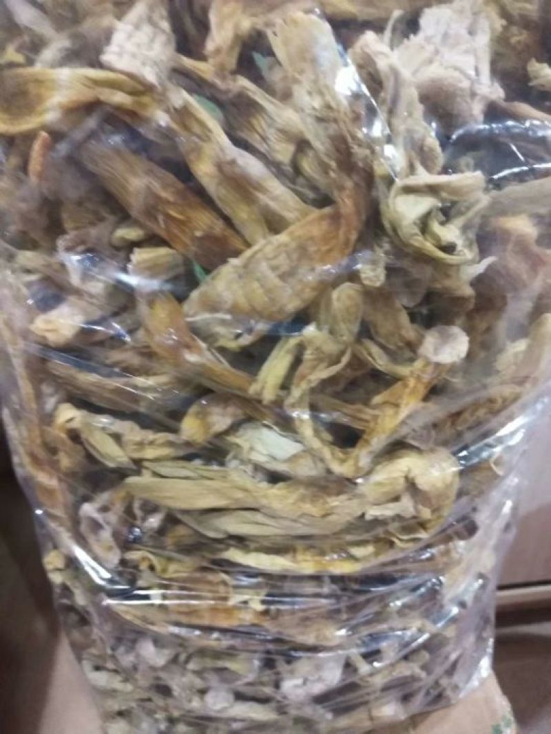 野笋干
