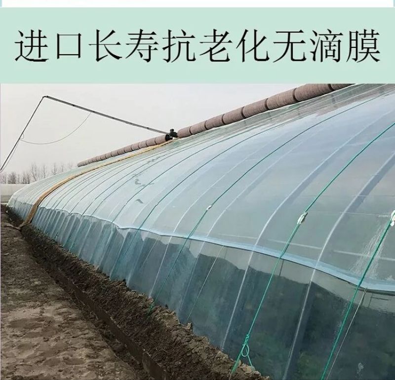无滴膜