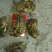 漳州生蚝一手货源，半壳，全壳生蚝