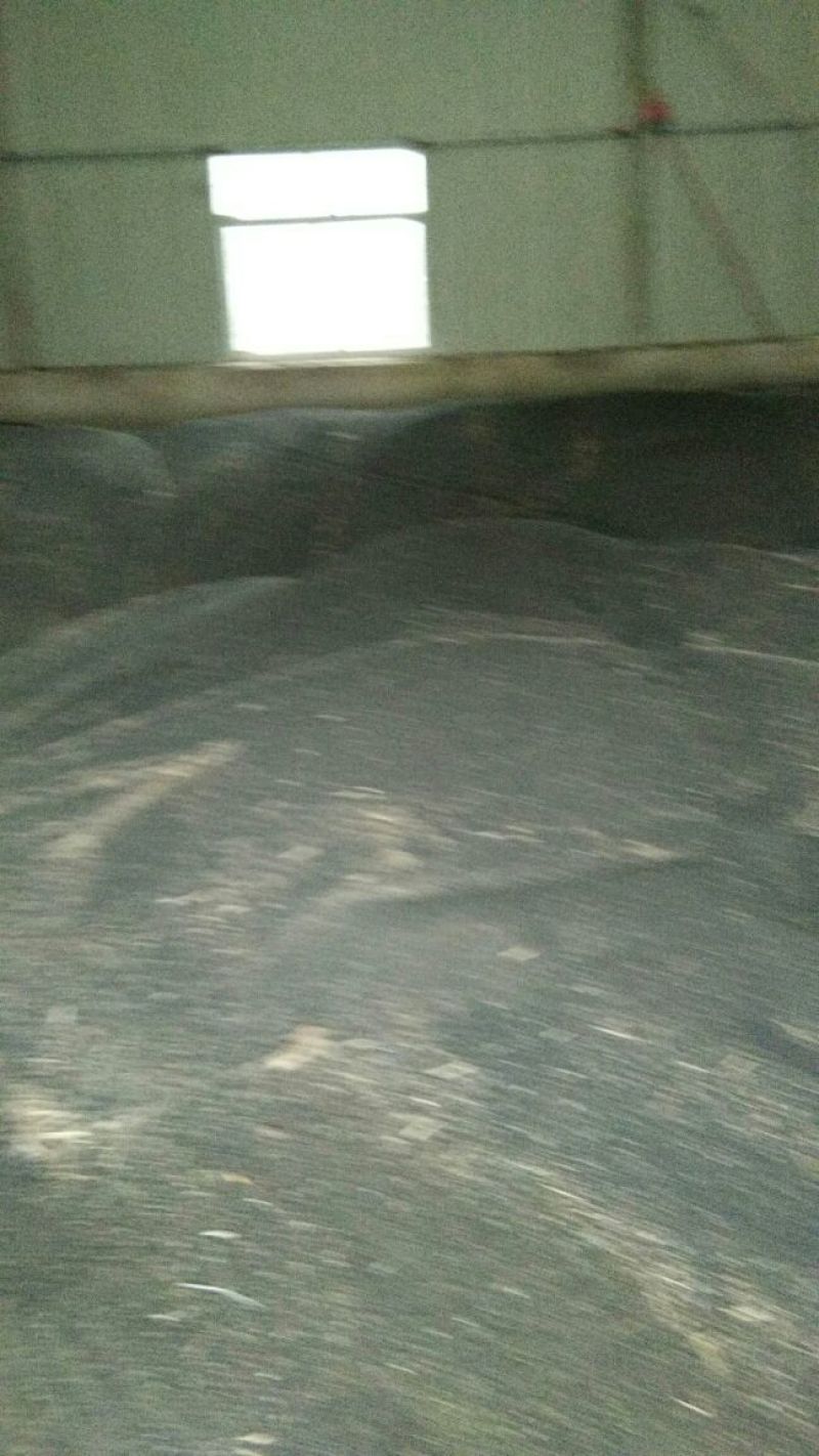 油菜籽1级纯本地菜籽，油色好，油量高