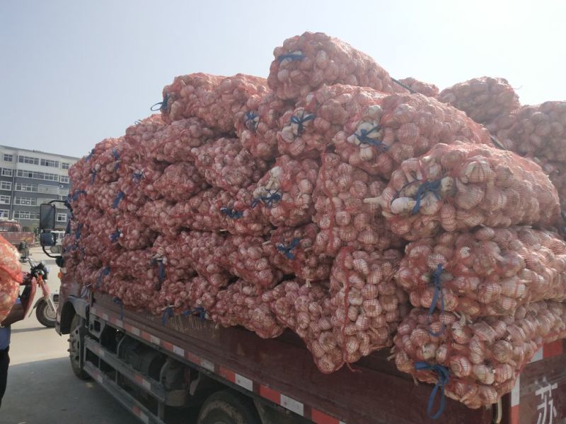 邳州杂交紫皮混级蒜太空产地代办支持各种规格直发全国
