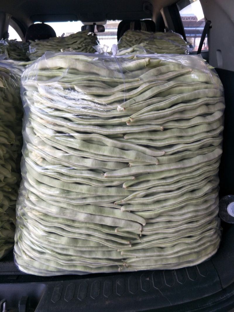 九粒白芸豆，新开园，质量好