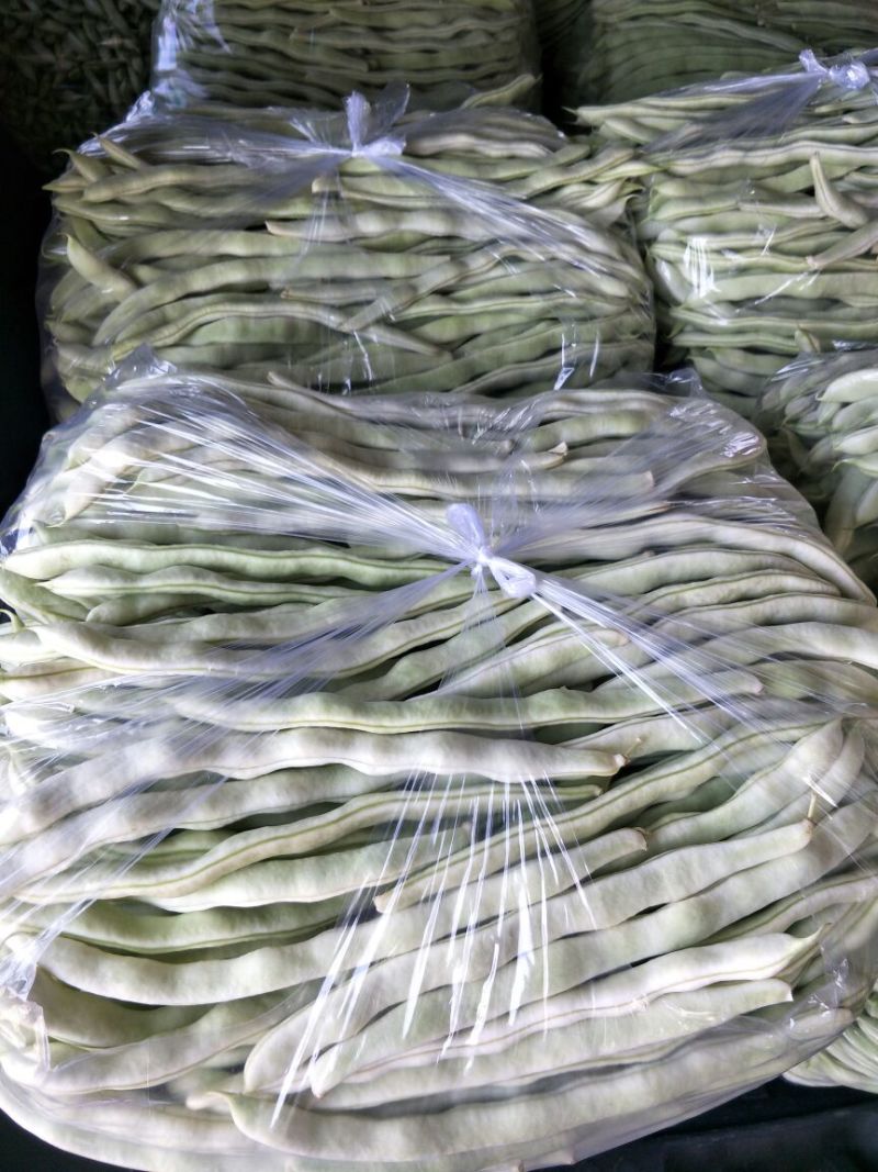 九粒白芸豆，新开园，质量好