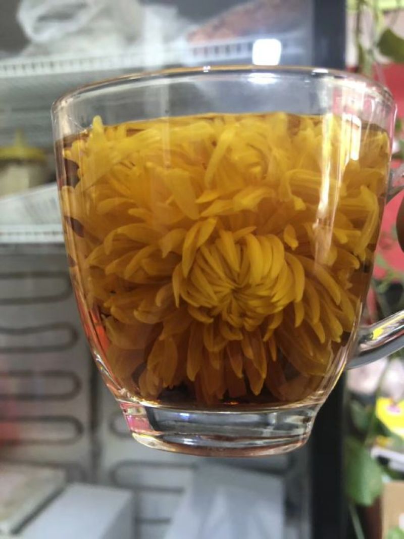 金丝皇菊