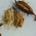 白芨苗（四年露天训化白芨大苗，好载，成活率高）
