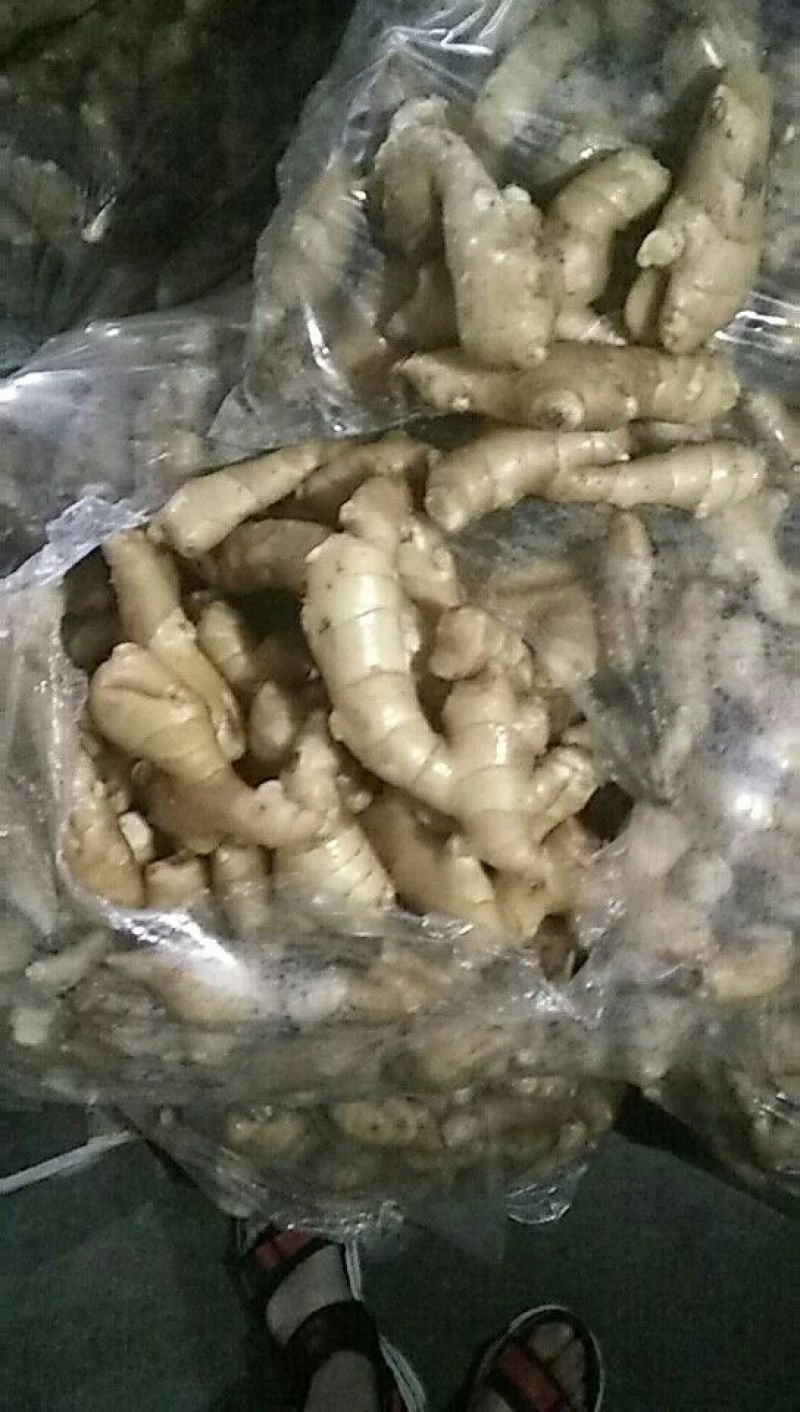 姜巴一两到四两