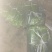 韮苔30cm以上