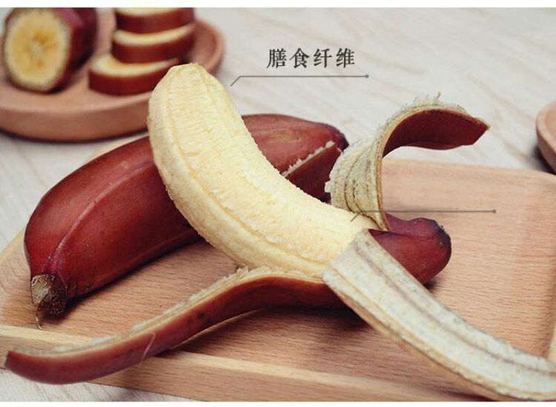 红香蕉苗