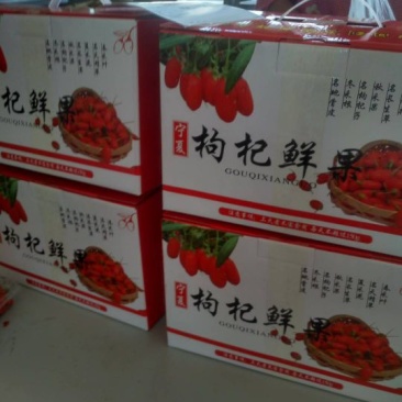 枸杞鲜果鲜枸杞