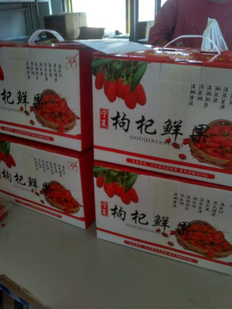 枸杞鲜果鲜枸杞