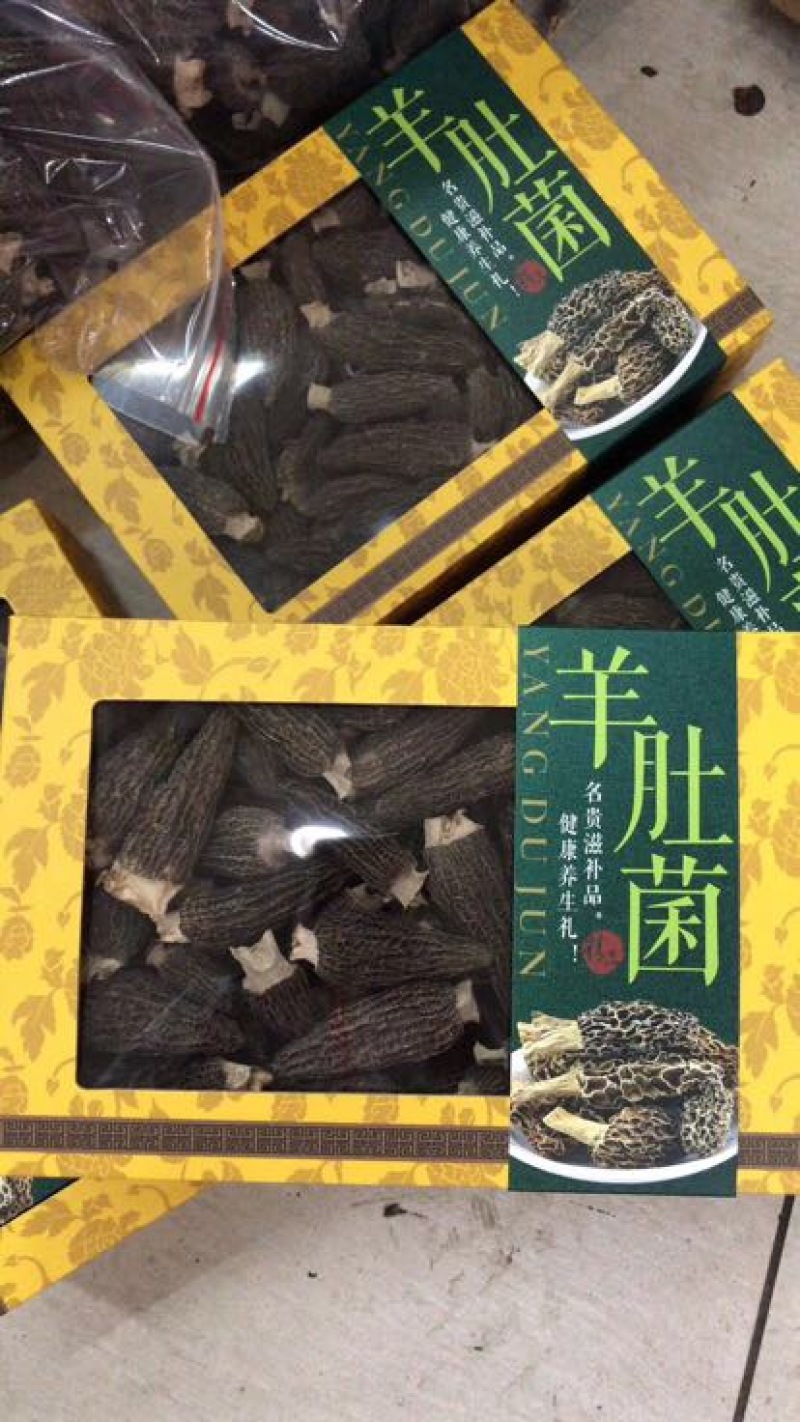 2025年新羊肚菌干品纯头茬货新鲜上市