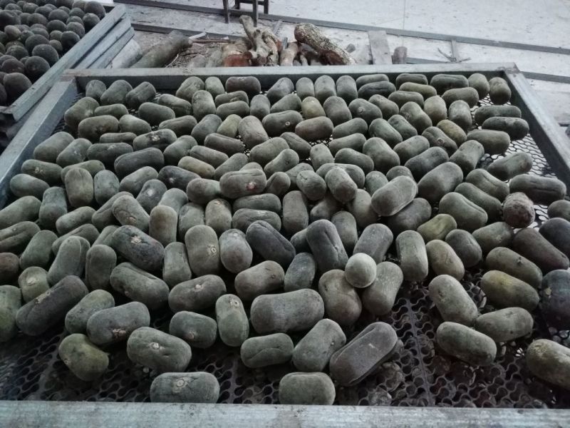 正毛橘红化州橘红压果化桔红化橘红果一手货源，各种规格都有