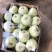 甜宝甜瓜0.5斤以上精品