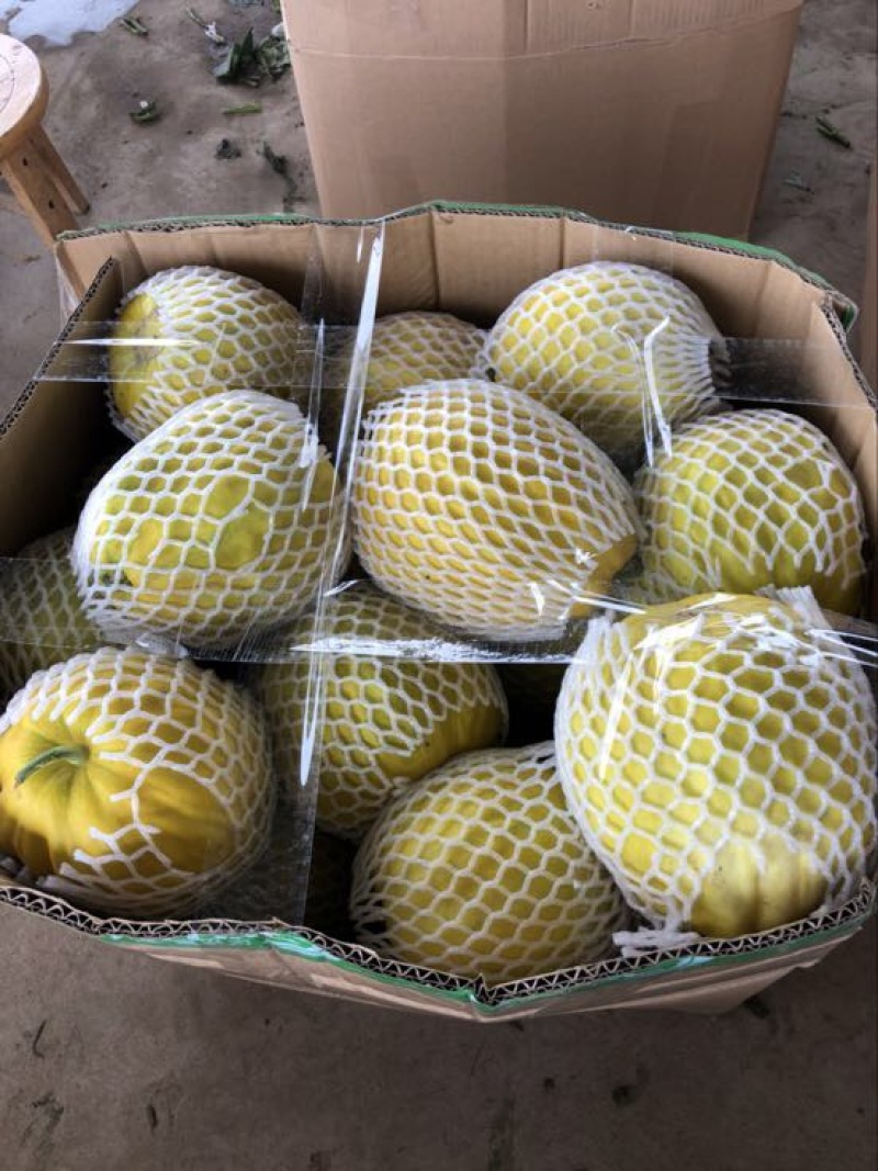 丑甜甜瓜1斤以上精品