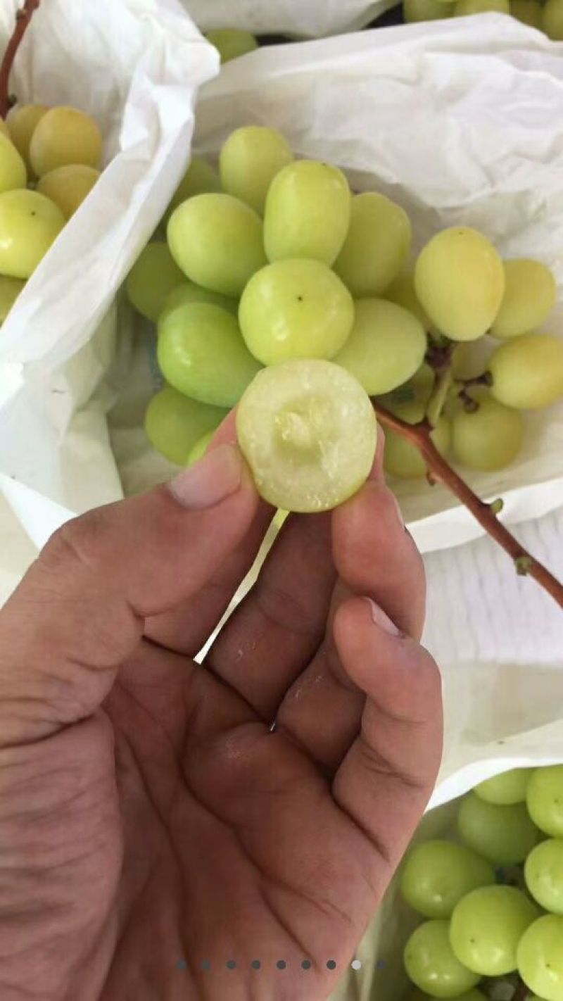 精品阳光玫瑰葡萄