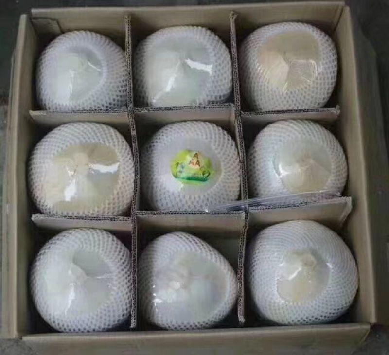 海南椰青