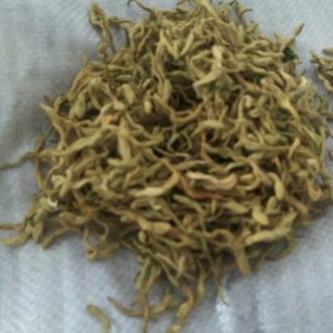 金银花