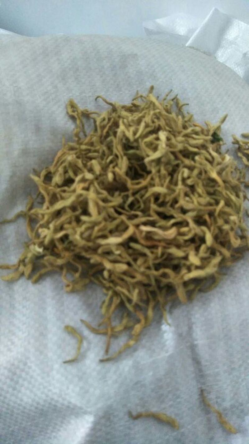金银花