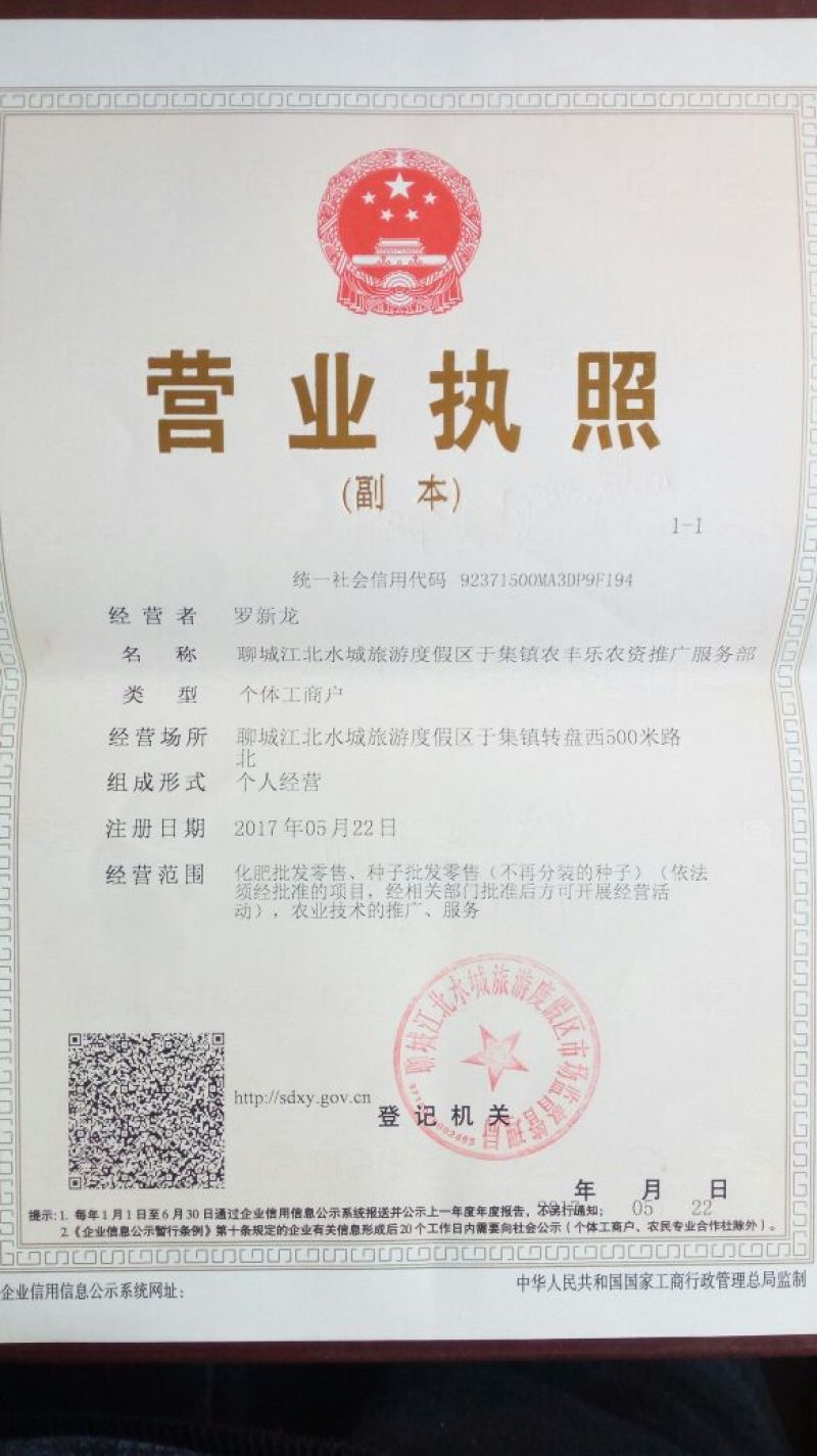 早熟红皮洋葱种子秦红宝3号适合山东河南安徽甘肃新疆等