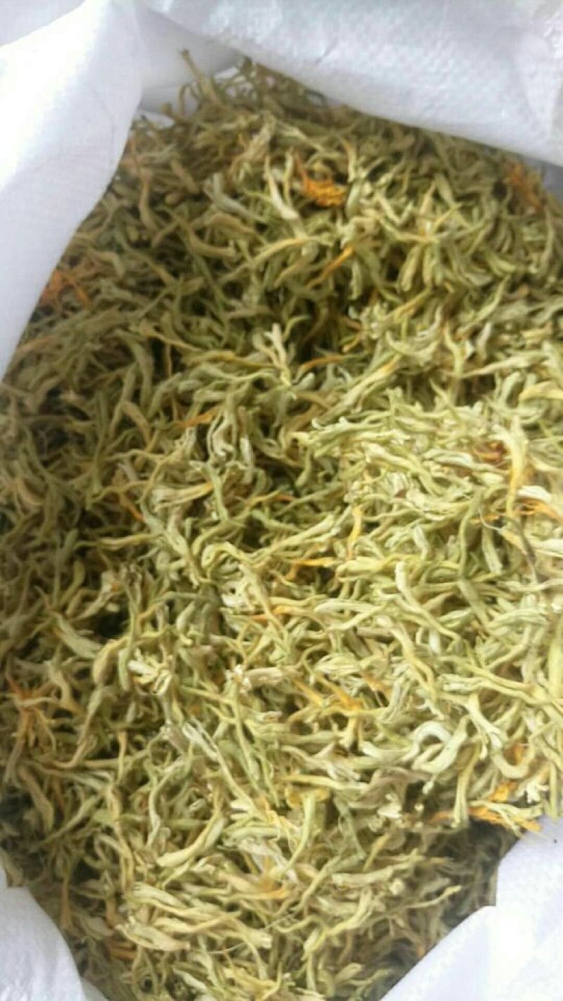 金银花