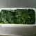 速冻荠菜